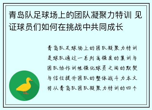 青岛队足球场上的团队凝聚力特训 见证球员们如何在挑战中共同成长